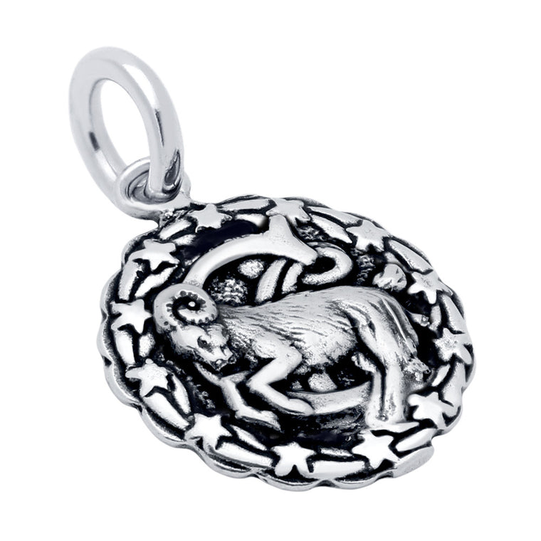 ZDC1218-CAP  CAPRICORN ZODIAC CHARM