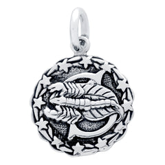ZDC1218-SCO  SCORPIO ZODIAC CHARM