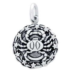 ZDC1218-CAN  CANCER ZODIAC CHARM