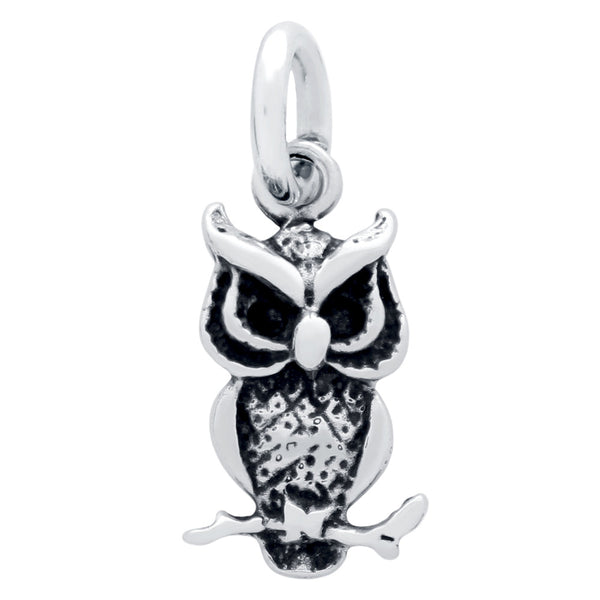 ZDC1209  OWL CHARM