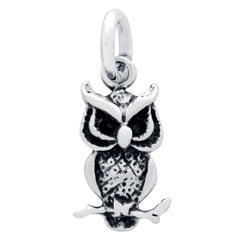 ZDC1209  OWL CHARM