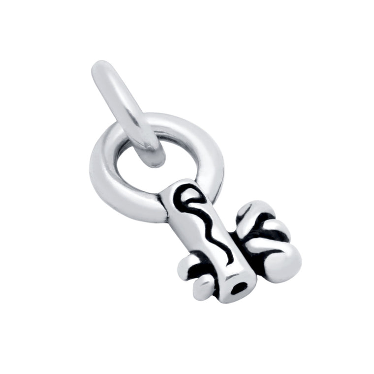 ZDC1302  13MM KEY CHARM